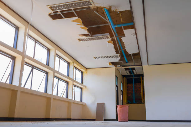 Best Water damage cleanup near me  in Spring Grove, PA