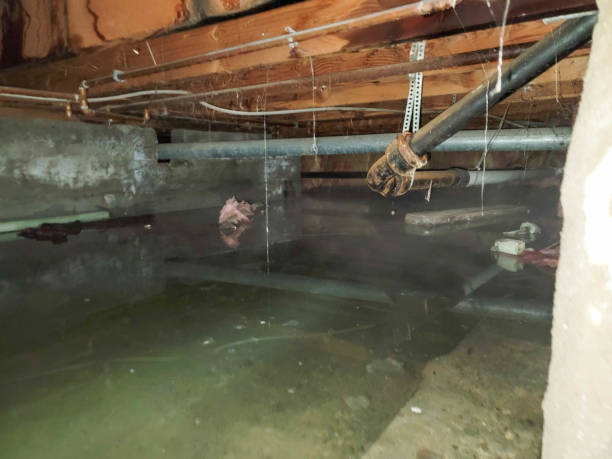 Best Carpet water damage restoration  in Spring Grove, PA