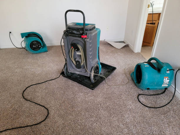 Best Water damage contractors near me  in Spring Grove, PA