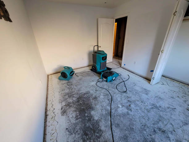 Best Flooded house restoration  in Spring Grove, PA