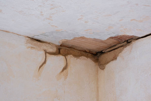 Best Flood damage cleanup  in Spring Grove, PA