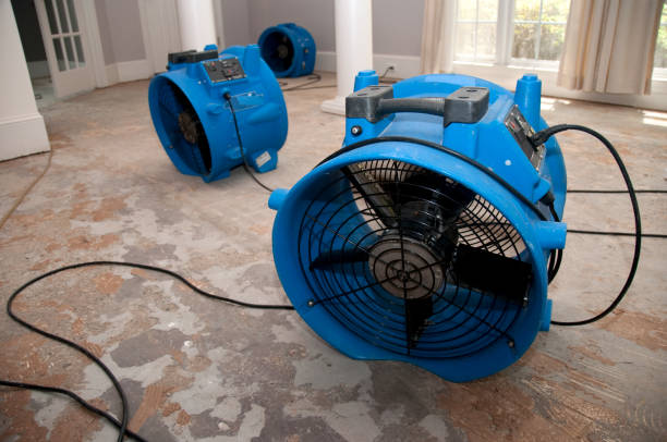 Best Mold removal after water damage  in Spring Grove, PA