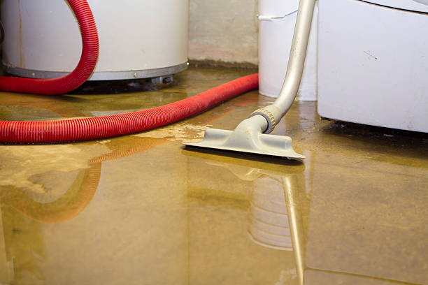 Best Residential water damage restoration  in Spring Grove, PA