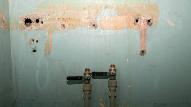 Best Flood damage cleanup  in Spring Grove, PA