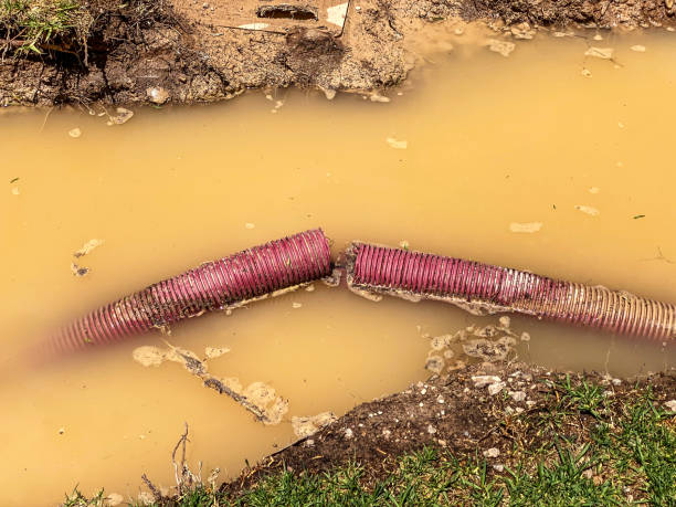 Best Water damage restoration company  in Spring Grove, PA