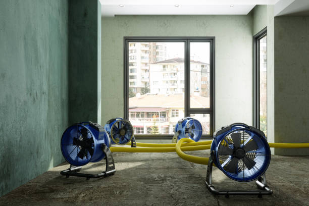 Best Ceiling water damage repair  in Spring Grove, PA