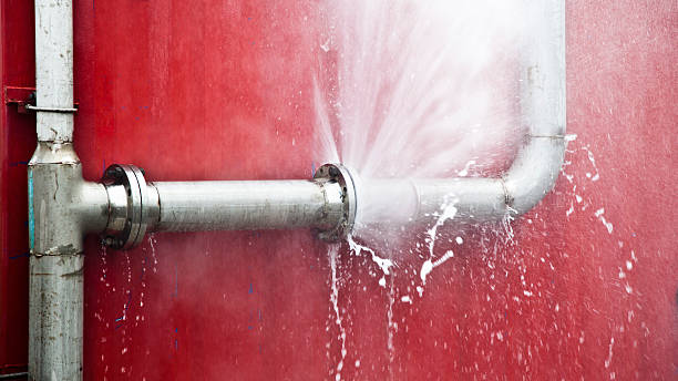 Best Local water damage restoration  in Spring Grove, PA