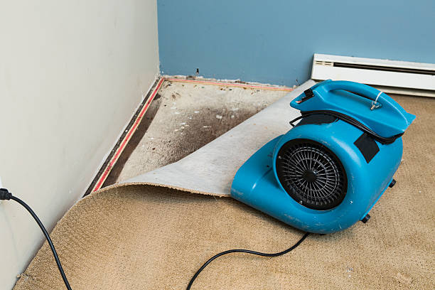 Best Sewage cleanup and water damage restoration  in Spring Grove, PA